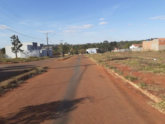 Primeira Dica