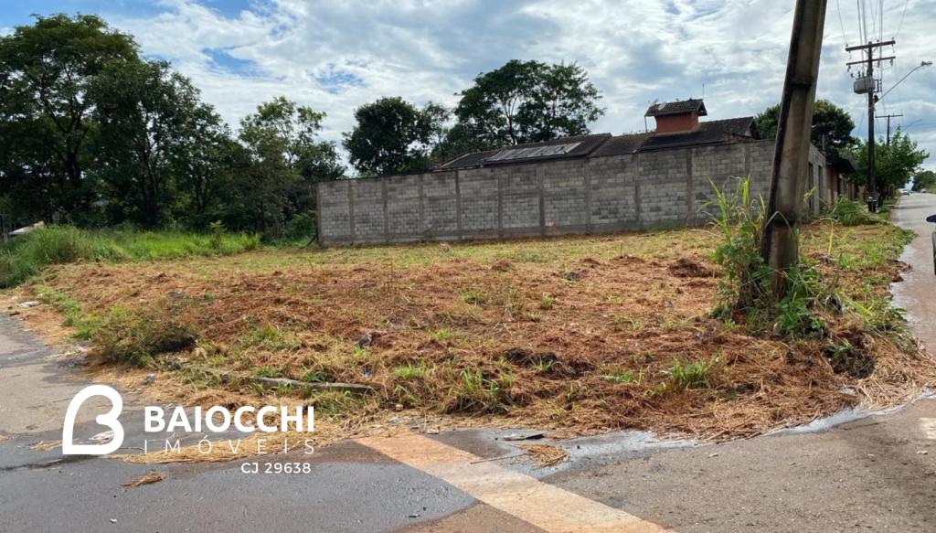 Primeira Dica